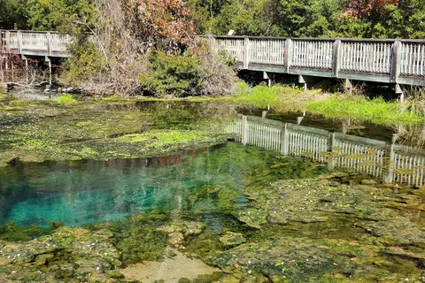 Magnolia Springs State Park