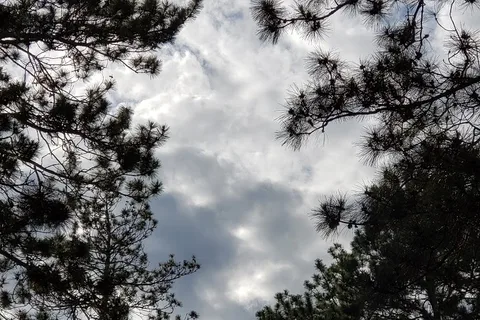 Fritzs Resort Campground and Golf Course