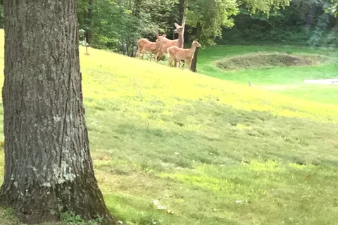 Fritzs Resort Campground and Golf Course