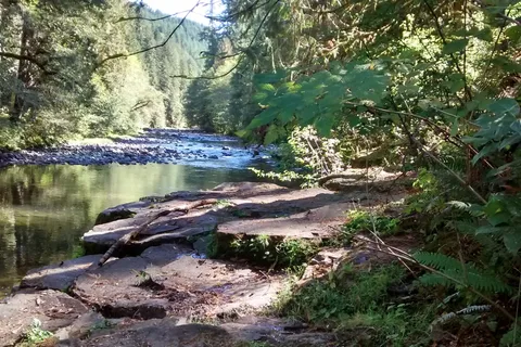 Riverside RV Park