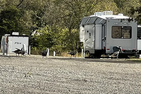 Whitetail Woods RV Park