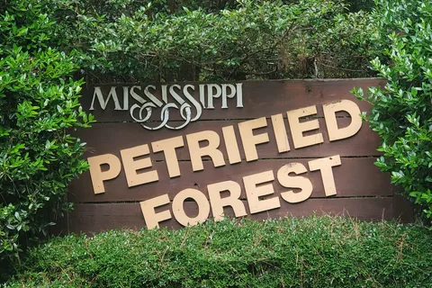 Mississippi Petrified Forest Campground