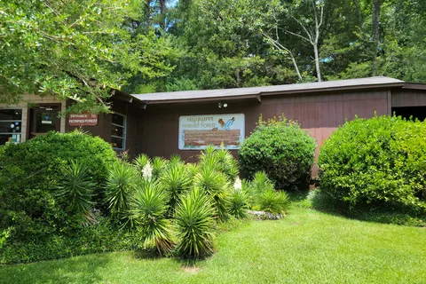 Mississippi Petrified Forest Campground