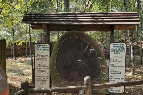 Mississippi Petrified Forest Campground