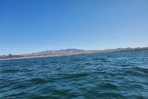 Havasu Landing Campground