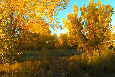 Fort Caspar Campground
