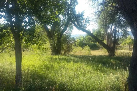 Fort Caspar Campground