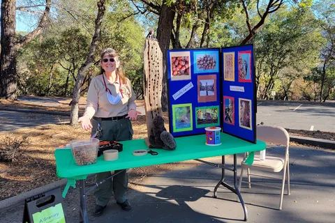Bidwell Canyon - Lake Oroville State Recreation Area