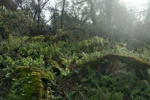 Bidwell Canyon - Lake Oroville State Recreation Area