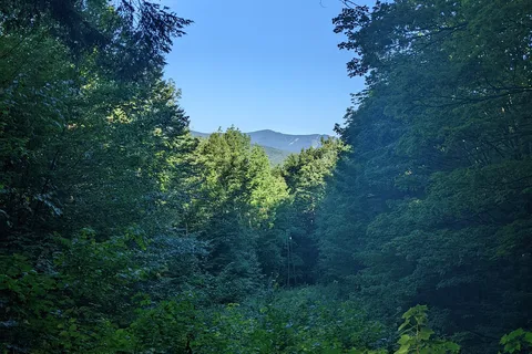 Coolidge State Park