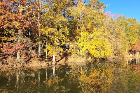 Old Salem Park by Georgia Power