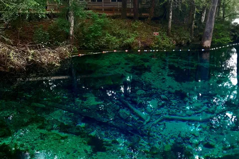 Suwannee River Bend RV Park