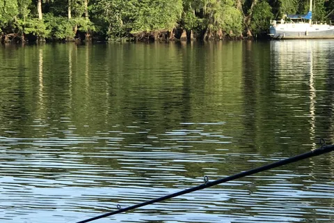 Suwannee River Bend RV Park