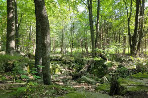 Embarrass River ATV Park