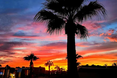 Capri RV Resort