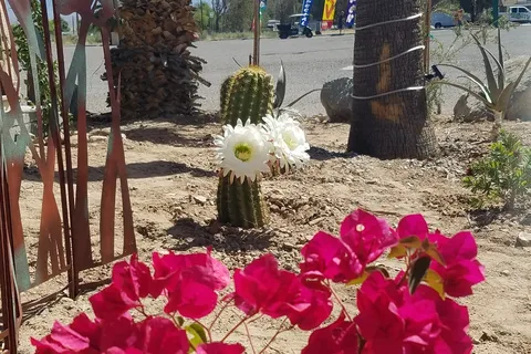Happy Together RV Resort