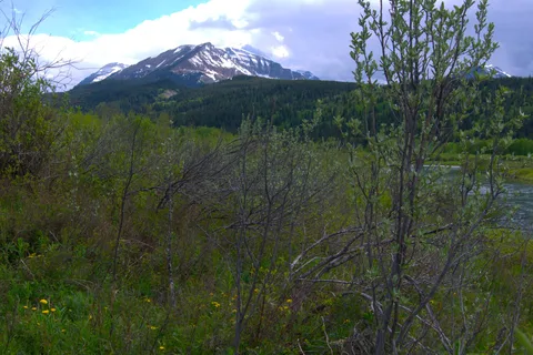 Belly River Campground - Waterton Lakes National Park