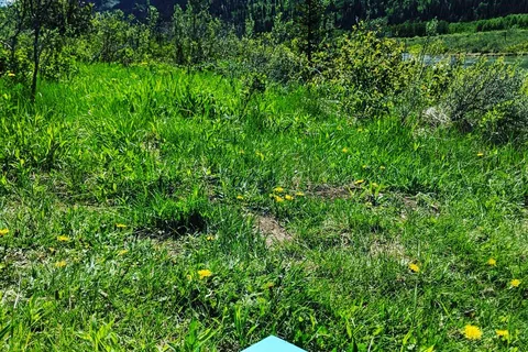 Belly River Campground - Waterton Lakes National Park