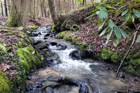 New Germany State Park