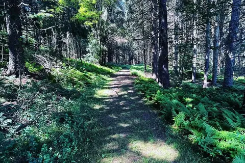 New Germany State Park