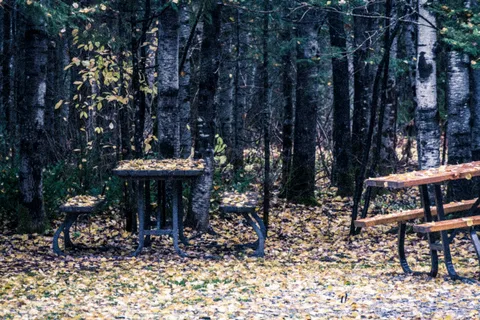 Rene Brunelle Provincial Park