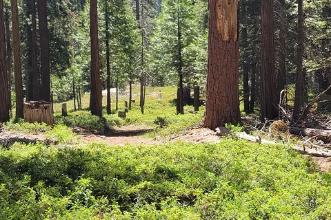 Three Links Camp - Odd Fellows