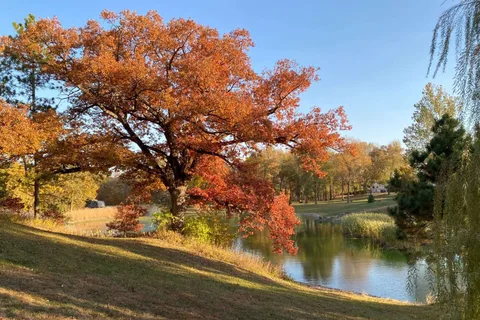 River Oaks RV Park