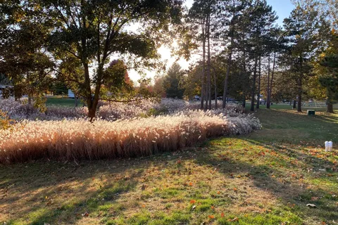 River Oaks RV Park