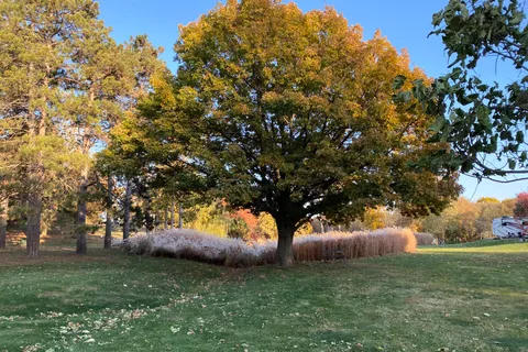 River Oaks RV Park