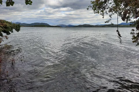 Lake Laberge Campground
