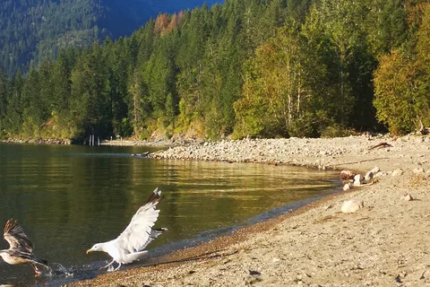 Lockhart Beach Provincial Park