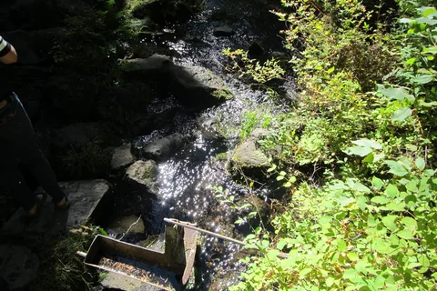 Jackson F Kimball State Recreation Site