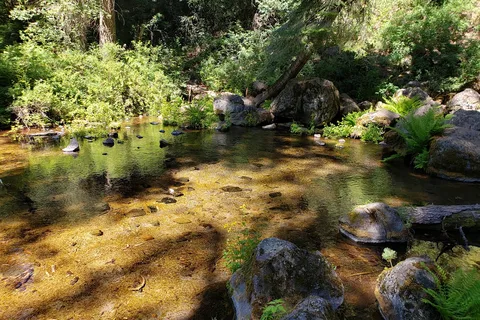 Jackson F Kimball State Recreation Site