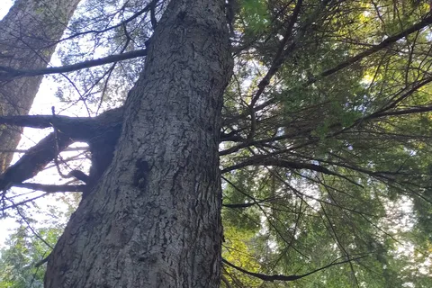 Haywire Bay Regional Park