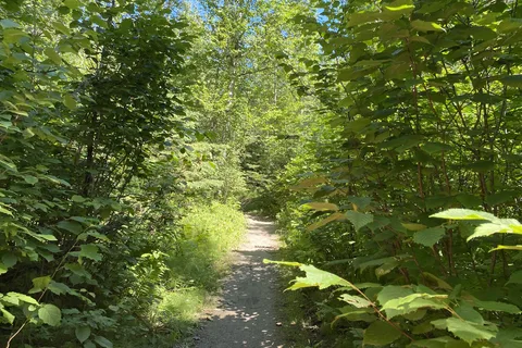 Elevated Experience Camping | Willey West Campground