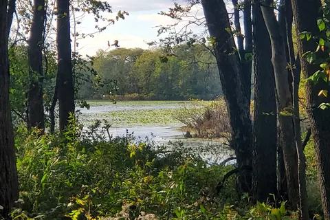George Wyth State Park