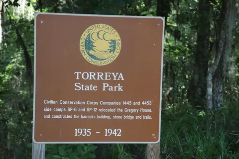 Weeping Ridge - Torreya State Park