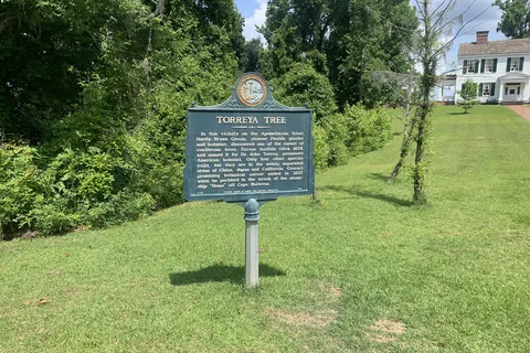 Weeping Ridge - Torreya State Park