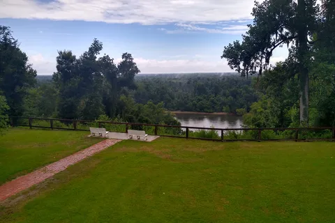 Weeping Ridge - Torreya State Park
