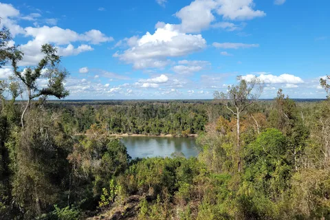 Weeping Ridge - Torreya State Park