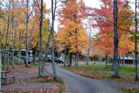 Union River 'Big Bear' Campground