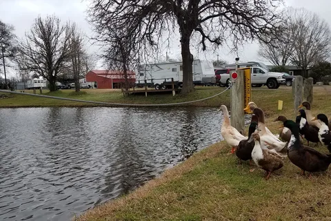 Shady Lake RV Park