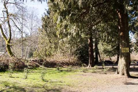 Cedar Grove RV Park and Campground