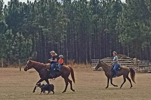 H Cooper Black Jr Memorial Recreational Area