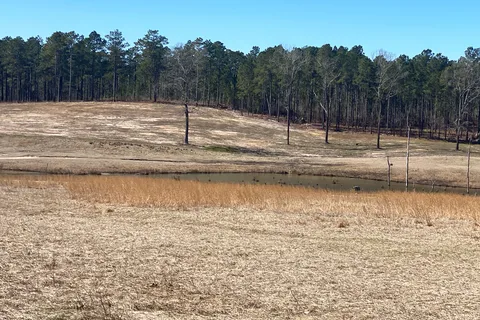 H Cooper Black Jr Memorial Recreational Area