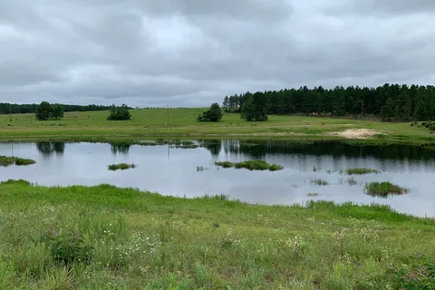 H Cooper Black Jr Memorial Recreational Area