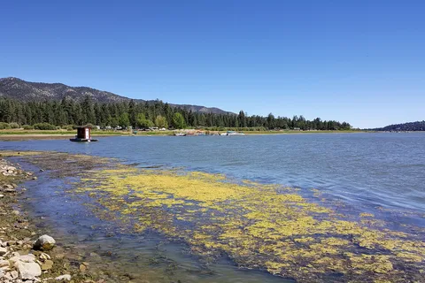 Lighthouse Trailer Resort and Marina