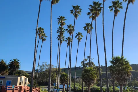 Refugio State Beach