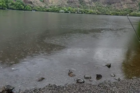 McCormick Park - Idaho Power
