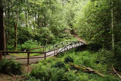 Scenic Beach State Park
